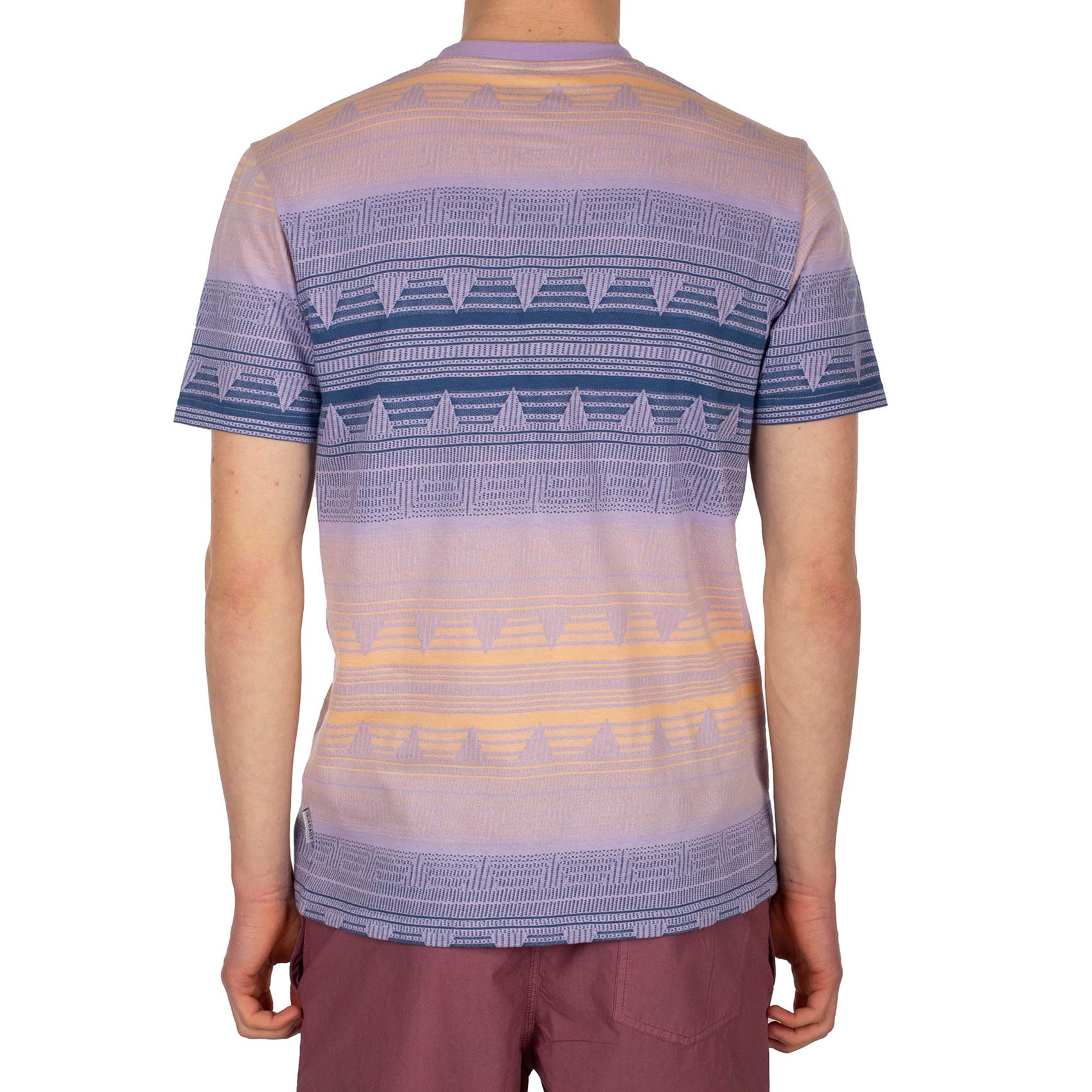 Iriedaily T-Shirt Santo (dove blue)